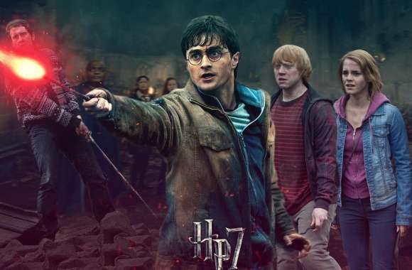 Harry Potter - Battle of Hogwarts - Harrys Side