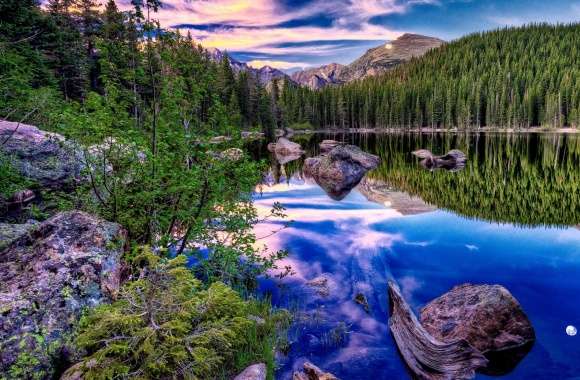 HDR Forest Reflection