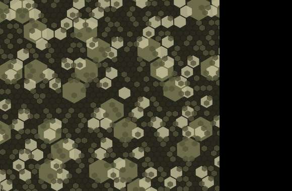 Hex Camo wallpapers hd quality