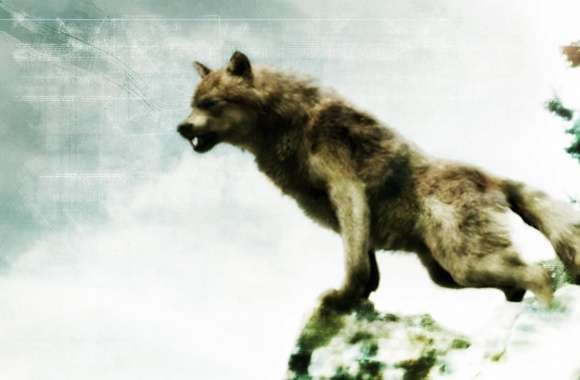 Jacob Black - Werewolf Form