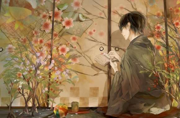 Kimono Boy wallpapers hd quality