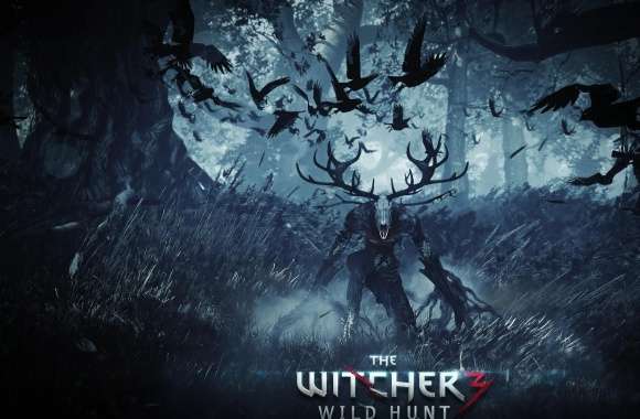 Leshy - The Witcher 3 Wild Hunt wallpapers hd quality