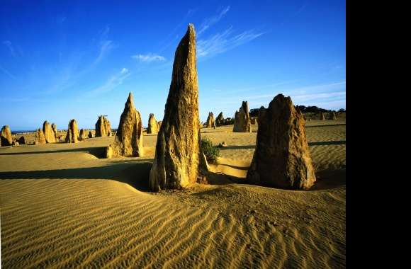 Limestone pinacles desert