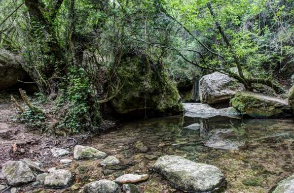Martinet Creek Aiguafreda, Catalonia