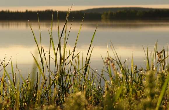 Midsummer in Lapland wallpapers hd quality