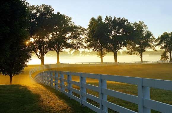 Morning at a Ranch wallpapers hd quality