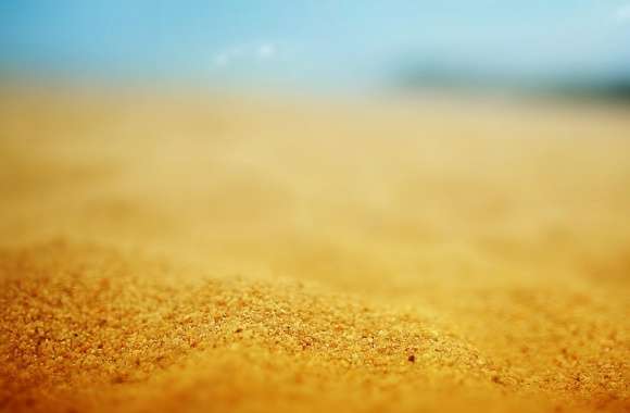 Sand Macro
