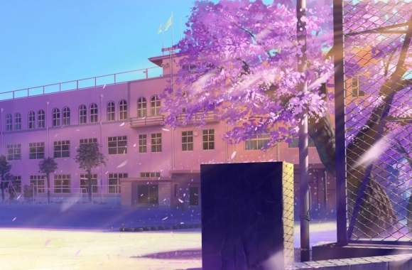 Schoolyard wallpapers hd quality