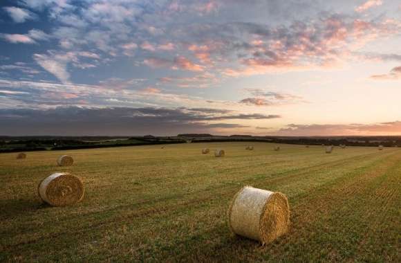 Straw Bales, Sunset wallpapers hd quality