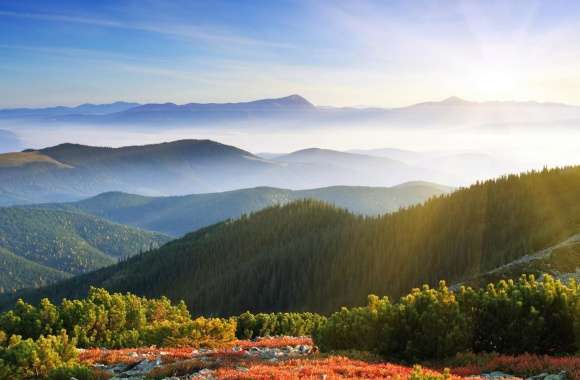 Sunrise Forest Mountains wallpapers hd quality