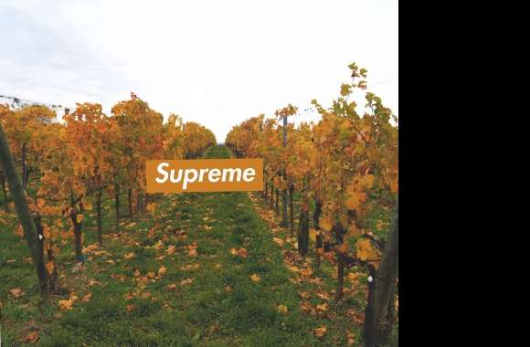 supreme vine