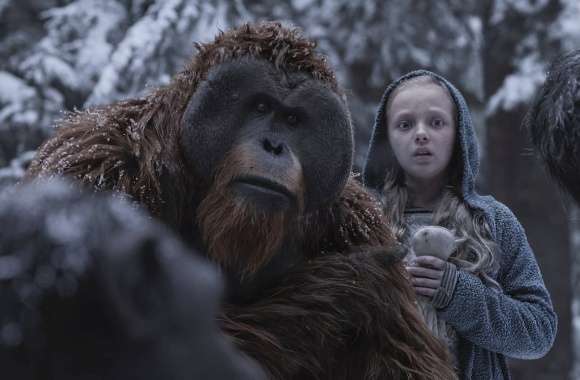 War For The Planet Of The Apes wallpapers hd quality