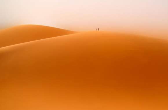 Wind, Desert