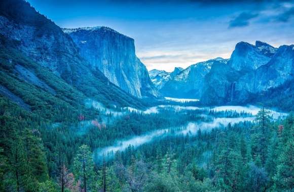 Yosemite National Park California USA Fog