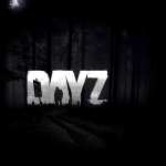 DayZ widescreen