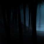Slender The Eight Pages 1080p