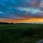 Sunset In The Wheat Field widescreen