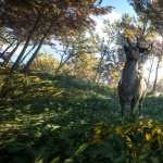 TheHunter Call Of The Wild images