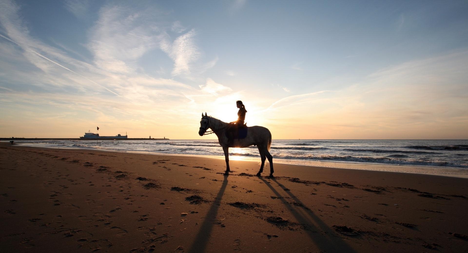 A Horse Ride On The Beach at 1024 x 768 size wallpapers HD quality