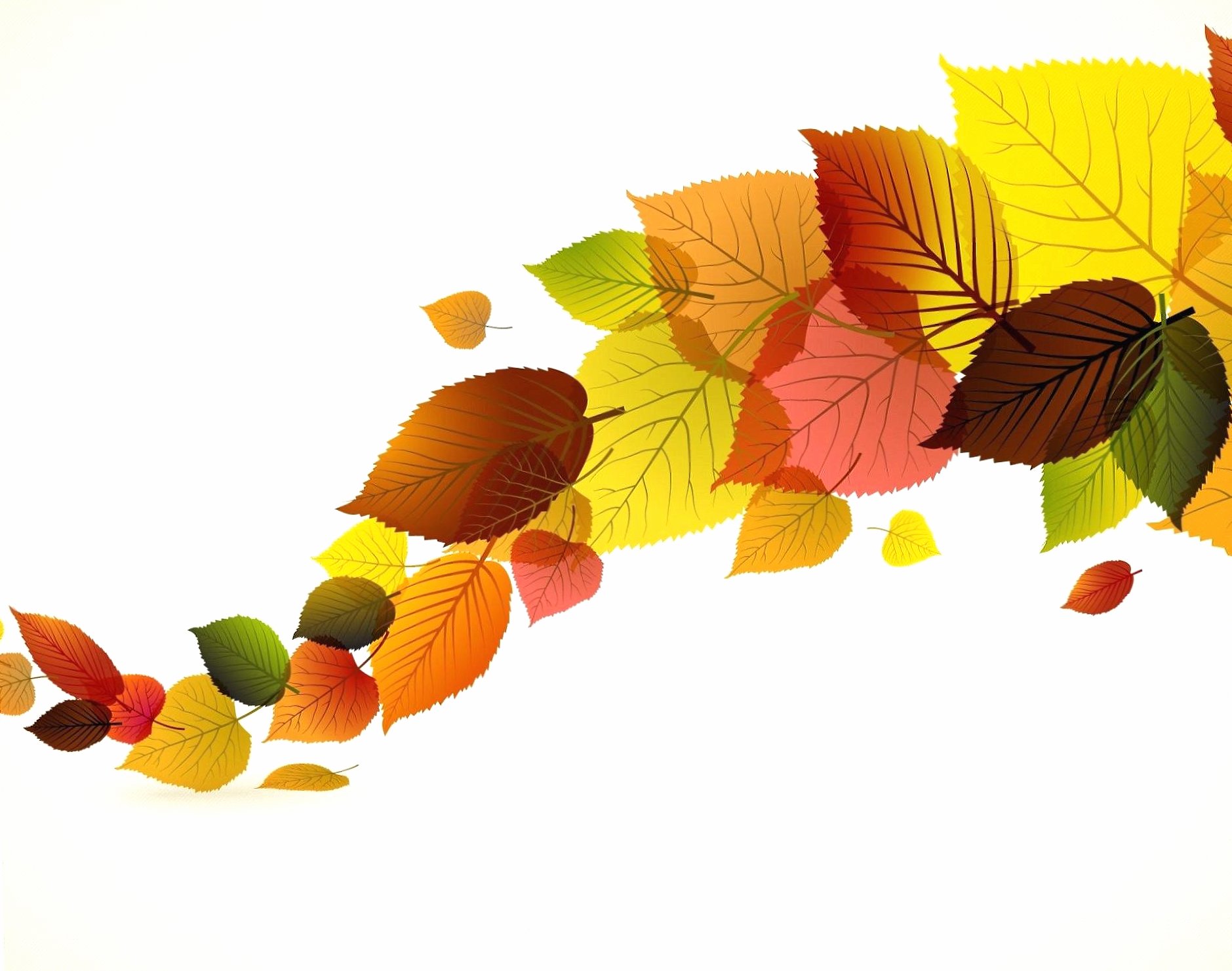 Abstract autumn leaves wallpapers HD quality