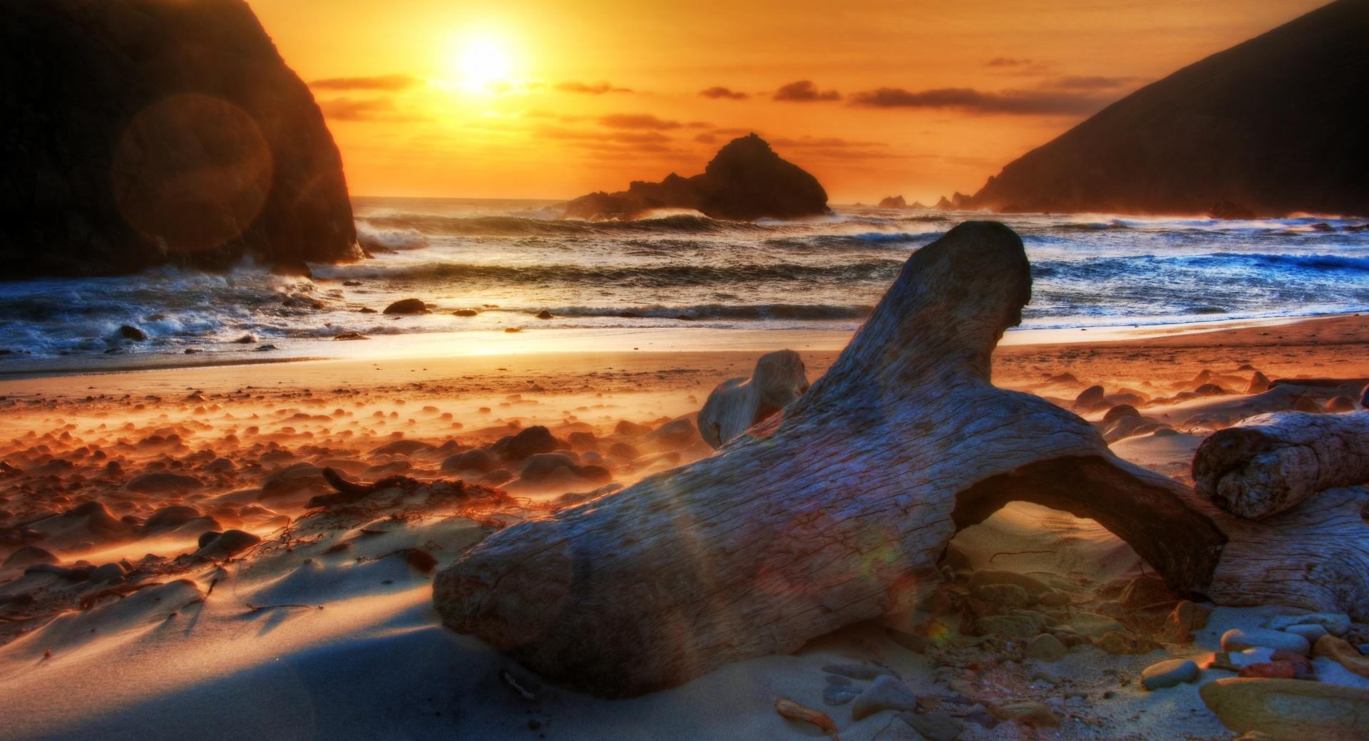 Driftwood At Sunset wallpapers HD quality