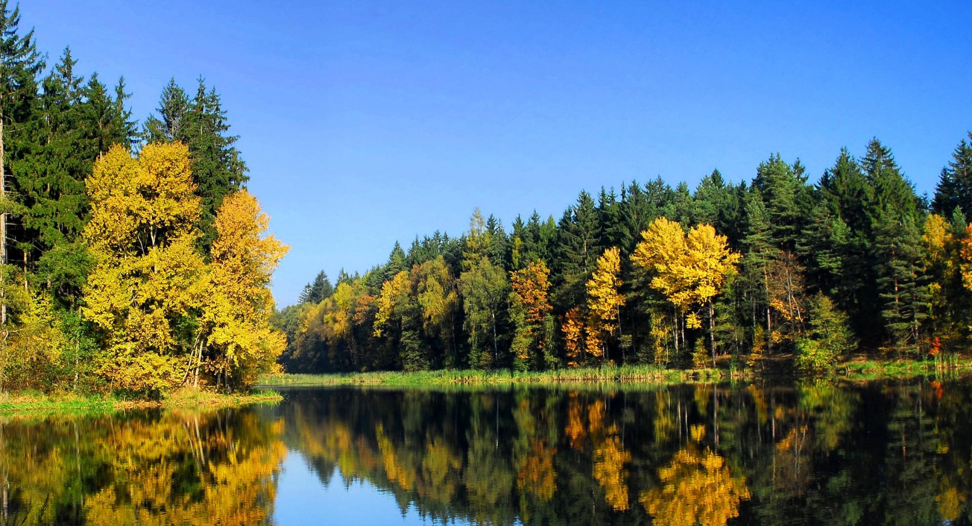 Fall Trees Reflection at 750 x 1334 iPhone 6 size wallpapers HD quality