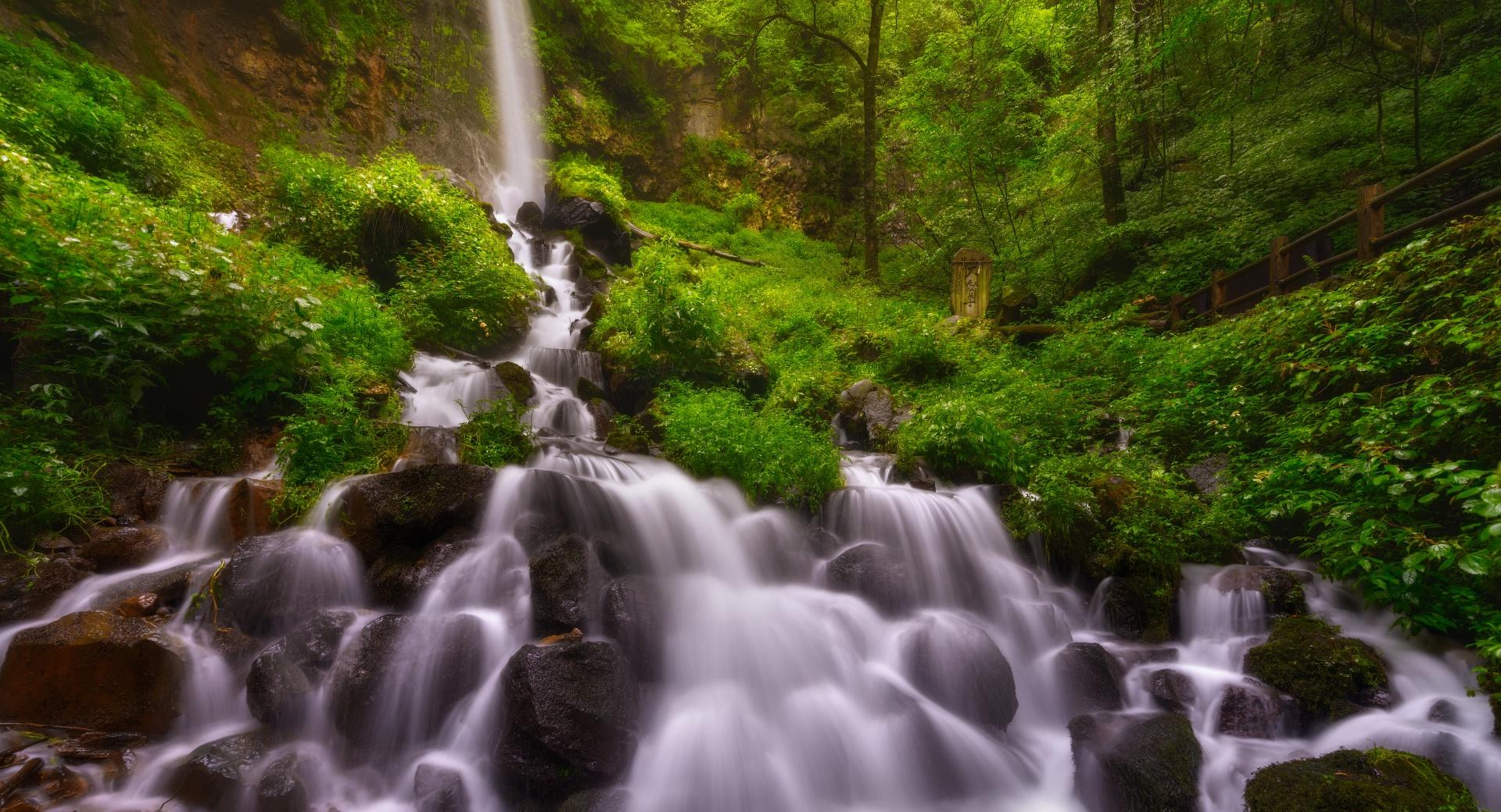 Forest Waterfall, Summer at 320 x 480 iPhone size wallpapers HD quality