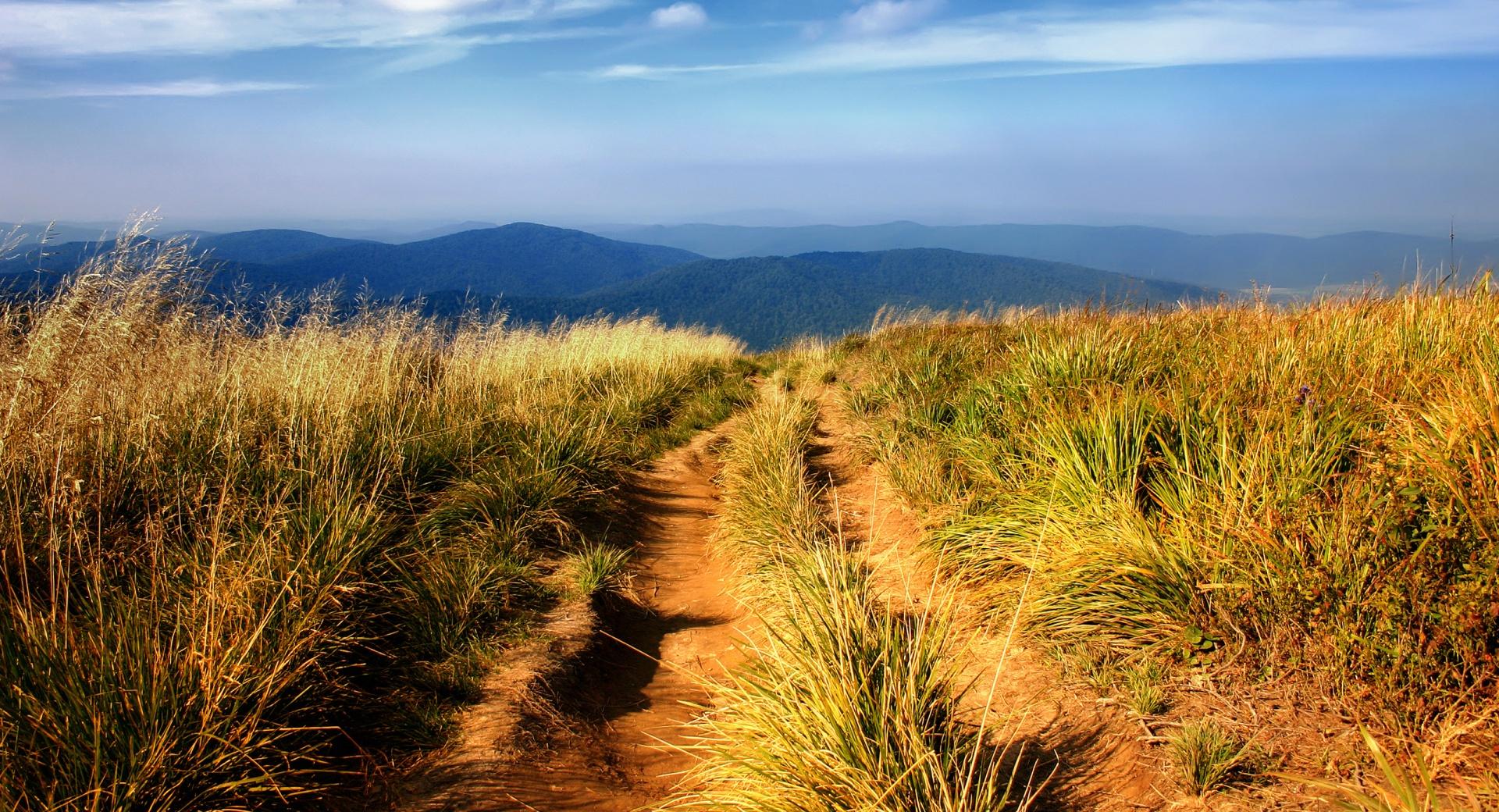 Hiking Path at 750 x 1334 iPhone 6 size wallpapers HD quality