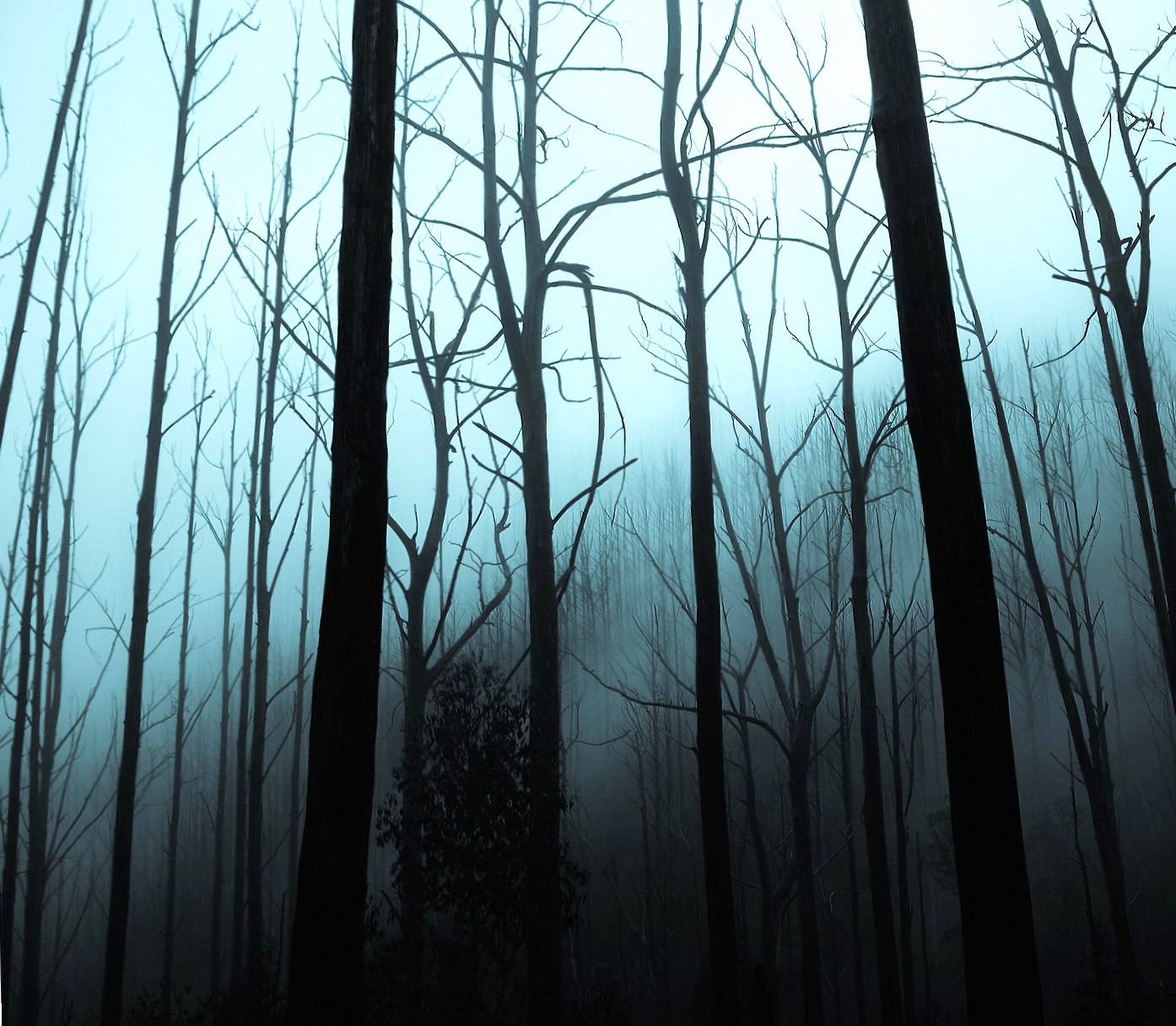 Horror Woods wallpapers HD quality