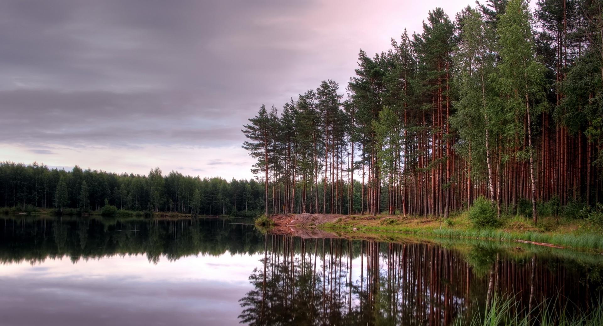 Lake And Forest at 640 x 1136 iPhone 5 size wallpapers HD quality