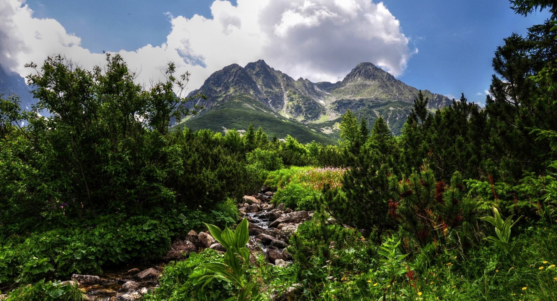 Mountain HDR wallpapers HD quality