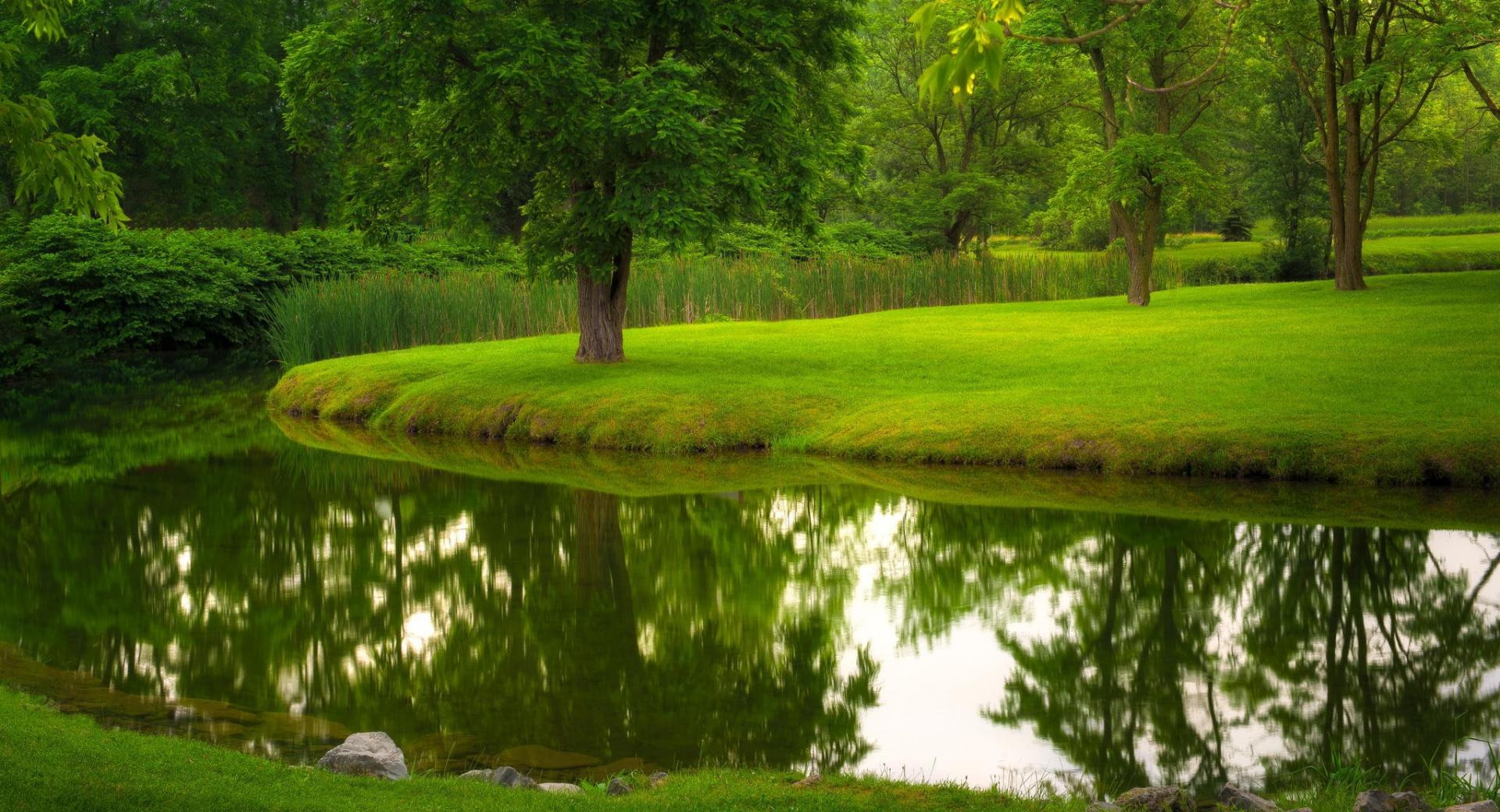 Nature, River, Park, Lawn Grass wallpapers HD quality