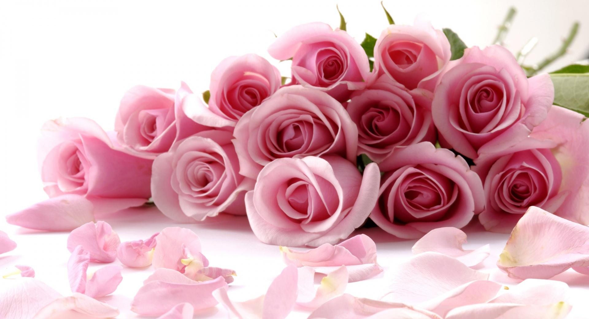Pink Roses Bouquet at 1334 x 750 iPhone 7 size wallpapers HD quality