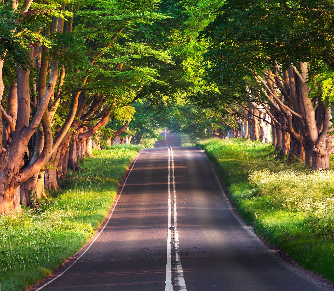 road to you at 640 x 960 iPhone 4 size wallpapers HD quality
