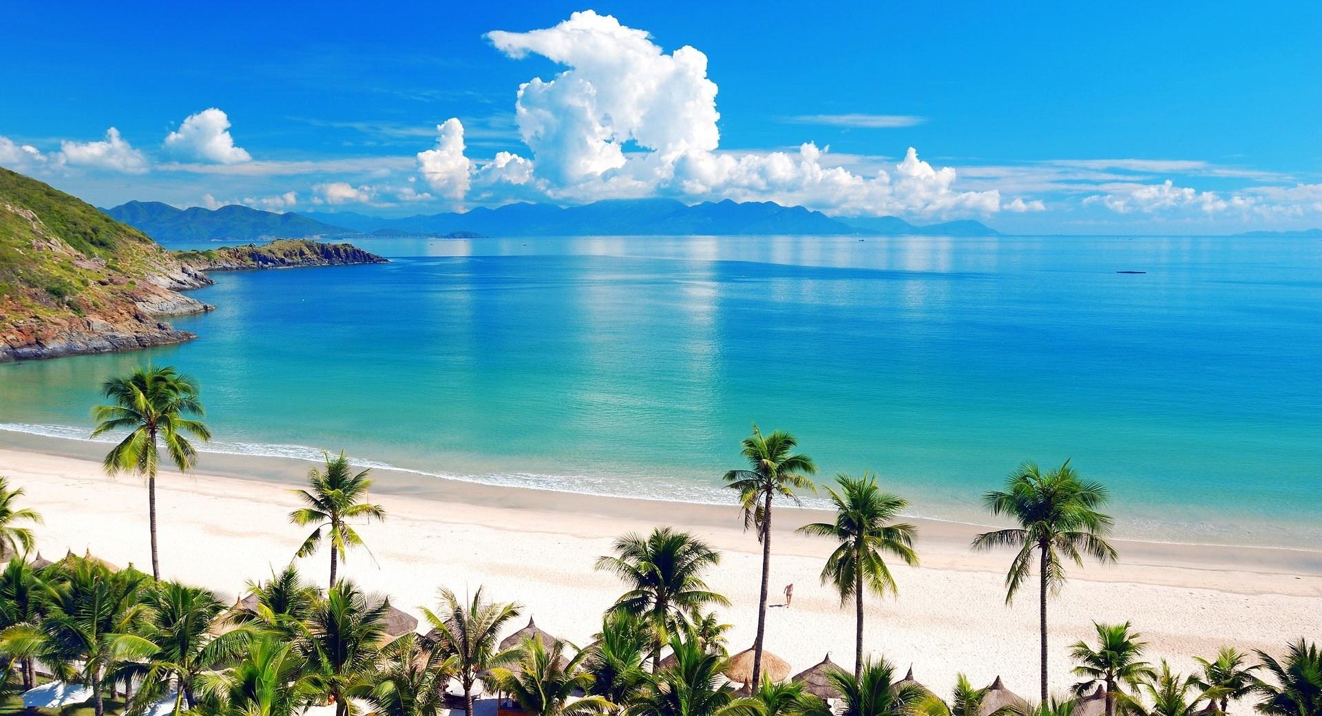 Sea, Beach, Palm wallpapers HD quality