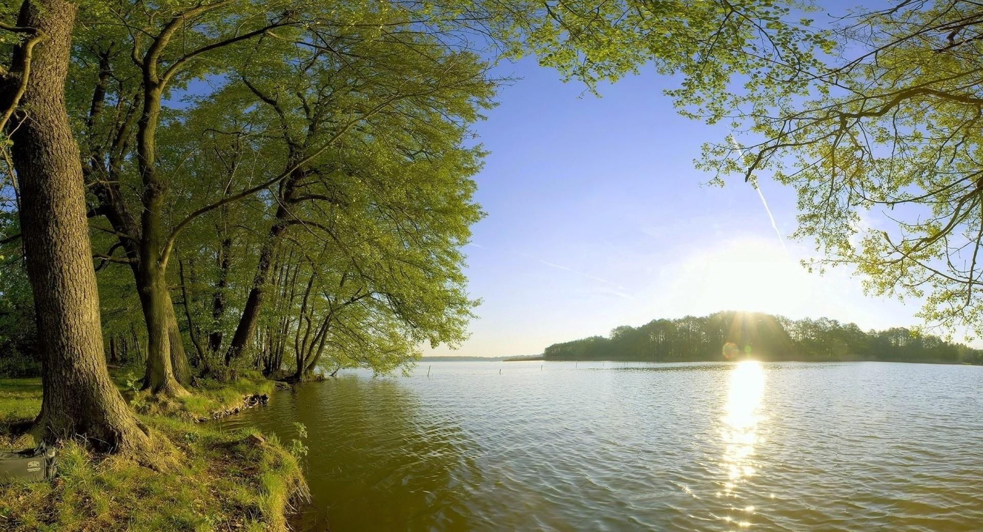 Trees Shore Lake - Sunlight wallpapers HD quality
