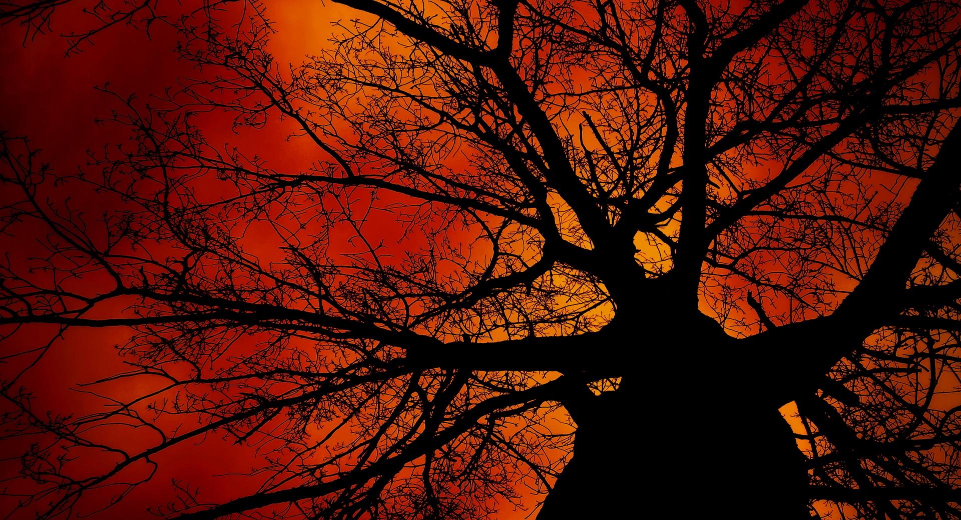 Under The Tree at 640 x 1136 iPhone 5 size wallpapers HD quality