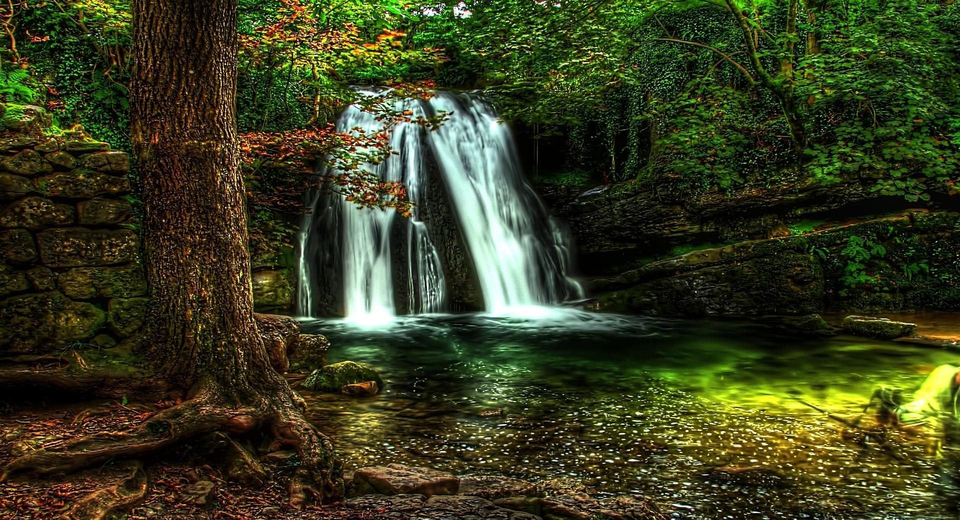 Waterfall Forest at 1600 x 1200 size wallpapers HD quality