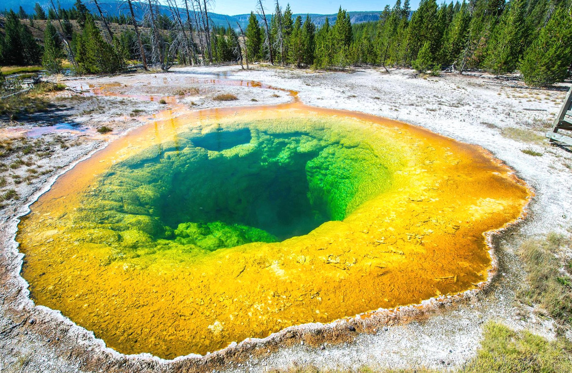 Yellowstone morning glory at 320 x 480 iPhone size wallpapers HD quality