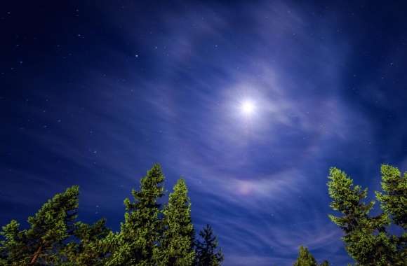 Cirrostratus Cloud at night causing a Moon Halo