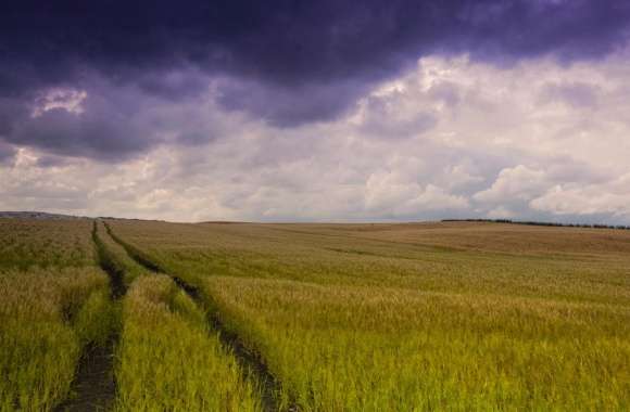 Field Tracks wallpapers hd quality