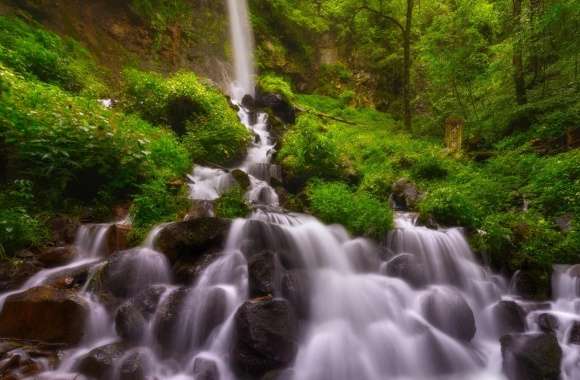 Forest Waterfall, Summer