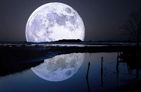 Full Moon Reflection