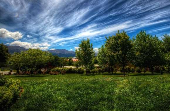 Grass trees sky and clouds wallpapers hd quality