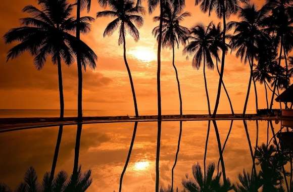 Hawaiian Beach Sunset Reflection