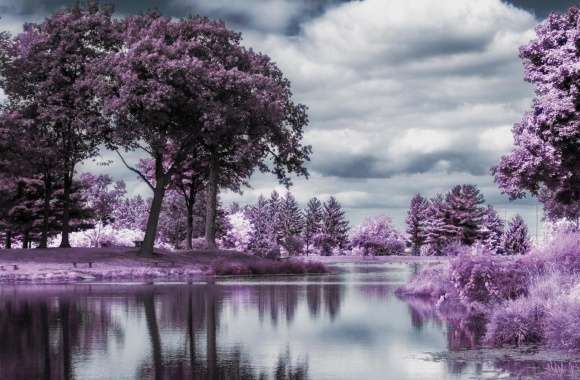 Infrared Pond
