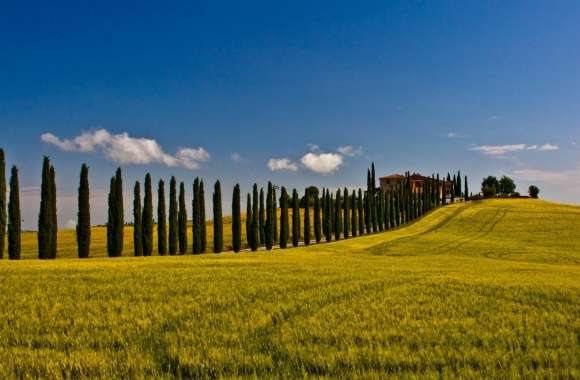 Italian Landscape