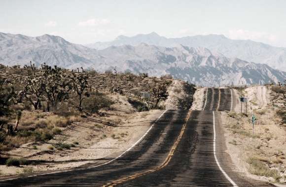 Long Desert Road
