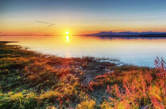 Migratory Birds Flying Over The Mountain Lake