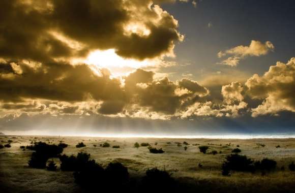 Nature Sundown Pacific